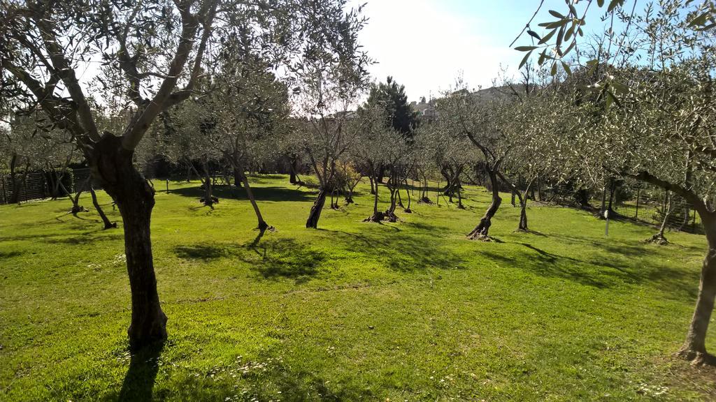 לריצ'י Appartamento La Collina Del Sole מראה חיצוני תמונה